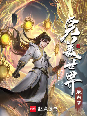 Bìa truyện Hoàn Mĩ Thế Giới (完美世界)