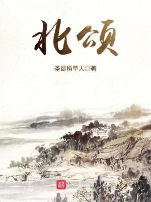 Bìa truyện Bắc Tụng (北颂)