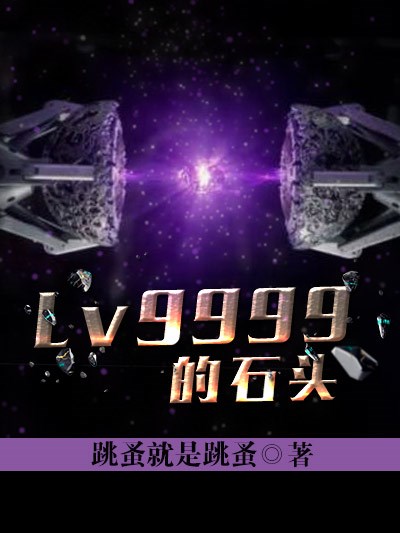 Bìa truyện Lv9999 Đích Thạch Đầu (Lv9999的石头)