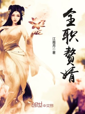 Bìa truyện Toàn Chức Chuế Tế (全职赘婿)