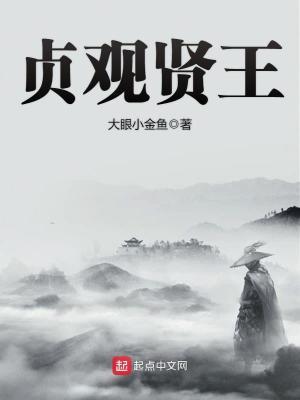 Bìa truyện Trinh Quan Hiền Vương (贞观贤王)