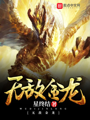 Bìa truyện Vô Địch Kim Long (无敌金龙)