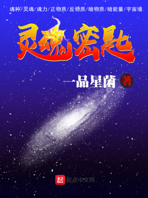 Bìa truyện Linh Hồn Mật Thi (灵魂密匙)