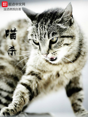 Bìa truyện Miêu Sát (喵杀)