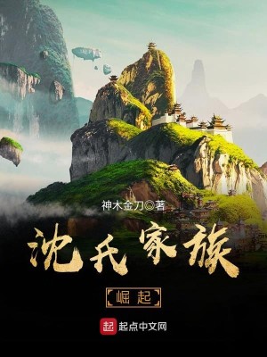 Bìa truyện Thẩm Thị Gia Tộc Quật Khởi (沈氏家族崛起)