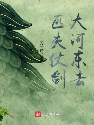 Bìa truyện Thất Phu Trượng Kiếm Đại Hà Đông Khứ (匹夫仗剑大河东去)