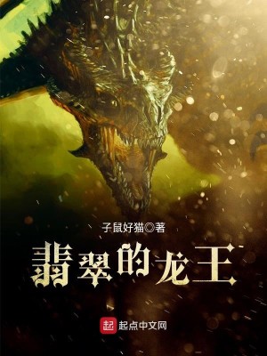 Bìa truyện Phỉ Thúy Đích Long Vương (翡翠的龙王)