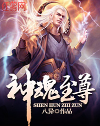 Bìa truyện Thần Hồn Chí Tôn (神魂至尊)