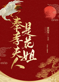 Bìa truyện Phụng Hiếu Phu Nhân Thị Hoa Tỷ Tống (奉孝夫人是花姐[综])