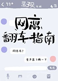 Bìa truyện Võng Luyến Phiên Xa Chỉ Nam (网恋翻车指南)