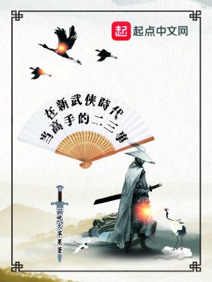 Bìa truyện Tại Tân Vũ Hiệp Thời Đại Đương Cao Thủ Đích Nhị Tam Sự (在新武侠时代当高手的二三事)