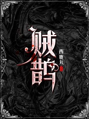 Bìa truyện Tặc Thước (贼鹊)