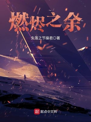Bìa truyện Nhiên Tẫn Chi Dư (燃烬之余)