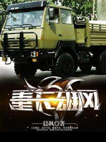 Bìa truyện Trọng Tạp Hùng Phong (重卡雄风)