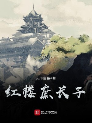 Bìa truyện Hồng Lâu Thứ Trường Tử (红楼庶长子)