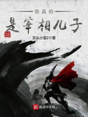 Bìa truyện Ngã Chân Đích Thị Tể Tương Nhân Tử (我真的是宰相儿子)