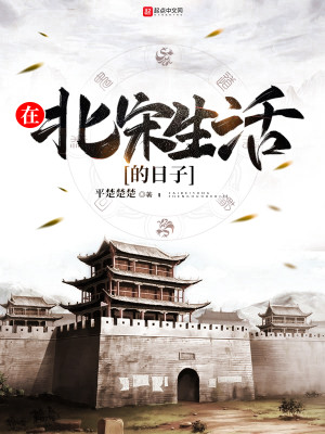 Bìa truyện Tại Bắc Tống Sinh Hoạt Đích Nhật Tử (在北宋生活的日子)