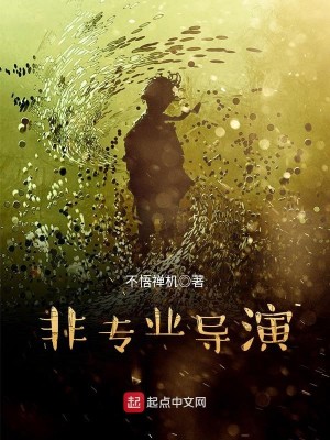 Bìa truyện Phi Chuyên Nghiệp Đạo Diễn (非专业导演)