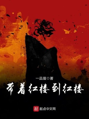 Bìa truyện Đái Trứ Hồng Lâu Đáo Hồng Lâu (带着红楼到红楼)