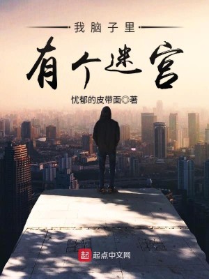 Bìa truyện Ngã Não Tử Lí Hữu Cá Mê Cung (我脑子里有个迷宫)
