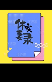 Bìa truyện Hưu Thê Thực Lục (休妻实录)