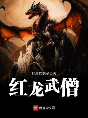 Bìa truyện Hồng Long Vũ Tăng (红龙武僧)