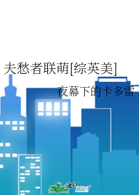 Bìa truyện Phu Sầu Giả Liên Manh Tống Anh Mĩ (夫愁者联萌[综英美])