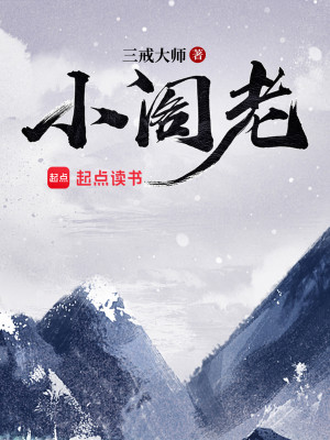 Bìa truyện Tiểu Các Lão (小阁老)