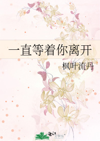 Bìa truyện Nhất Trực Đẳng Trứ Nhĩ Li Khai (一直等着你离开)