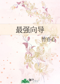 Bìa truyện Tối Cường Hướng Đạo (最强向导)
