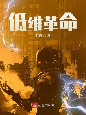 Bìa truyện Đê Duy Cách Mệnh (低维革命)