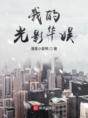 Bìa truyện Ngã Đích Quang Ảnh Hoa Ngu (我的光影华娱)