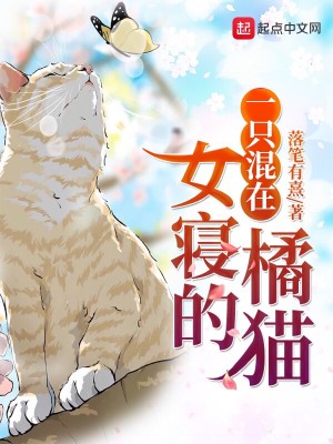Bìa truyện Nhất Chích Hỗn Tại Nữ Tẩm Đích Quất Miêu (一只混在女寝的橘猫)