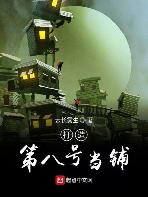 Bìa truyện Đả Tạo Đệ Bát Hào Đương Phô (打造第八号当铺)