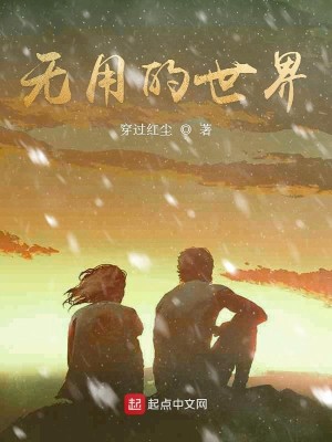 Bìa truyện Vô Dụng Đích Thế Giới (无用的世界)