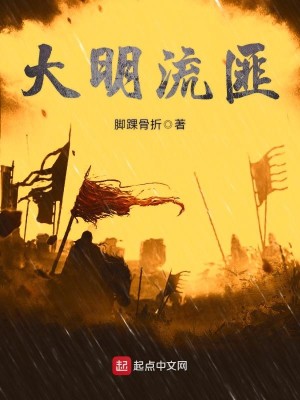 Bìa truyện Đại Minh Lưu Phỉ (大明流匪)