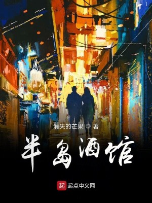 Bìa truyện Bán Đảo Tửu Quán (半岛酒馆)