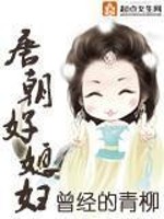 Bìa truyện Đường Triêu Hảo Tức Phụ (唐朝好媳妇)