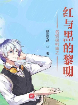 Bìa truyện Danh Trinh Thám Kha Nam Chi Hồng Dữ Hắc Đích Lê Minh (名侦探柯南之红与黑的黎明)