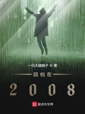 Bìa truyện Hồi Đáng Tại 2008 (回档在2008)