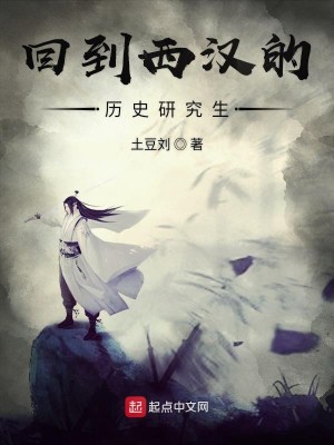 Bìa truyện Hồi Đáo Tây Hán Đích Lịch Sử Nghiên Cứu Sinh (回到西汉的历史研究生)
