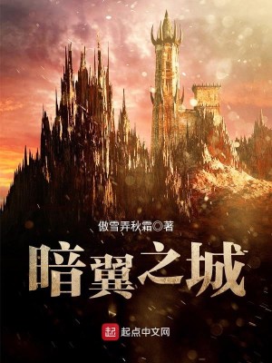 Bìa truyện Ám Dực Chi Thành (暗翼之城)