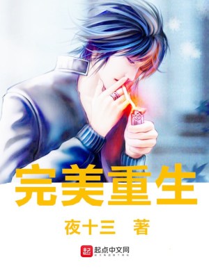Bìa truyện Hoàn Mĩ Trọng Sinh (完美重生)