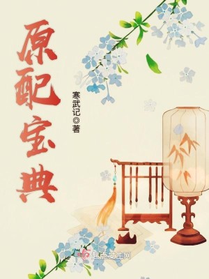 Bìa truyện Nguyên Phối Bảo Điển (原配宝典)