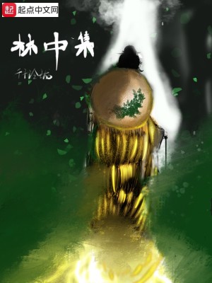 Bìa truyện Lâm Trung Tập (林中集)