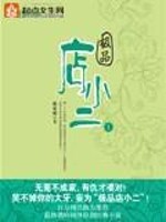 Bìa truyện Cực Phẩm Điếm Tiểu Nhị (极品店小二)