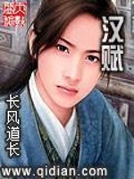 Bìa truyện Hán Phú (汉赋)