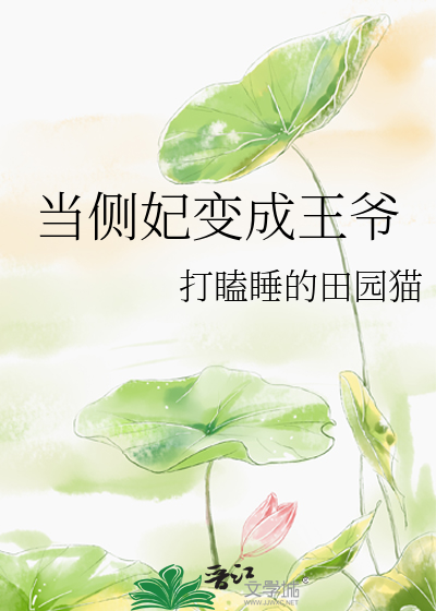 Bìa truyện Đương Trắc Phi Biến Thành Vương Gia (当侧妃变成王爷)