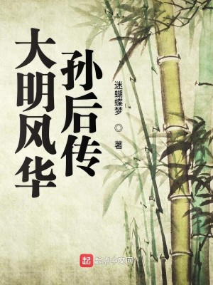Bìa truyện Đại Minh Phong Hoa Tôn Hậu Truyện (大明风华孙后传)
