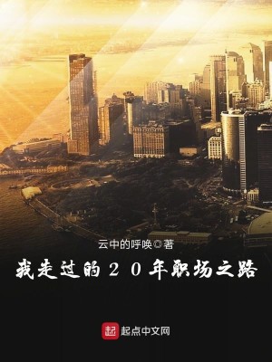 Bìa truyện Ngã Tẩu Quá Đích 20 Niên Chức Trường Chi Lộ (我走过的20年职场之路)